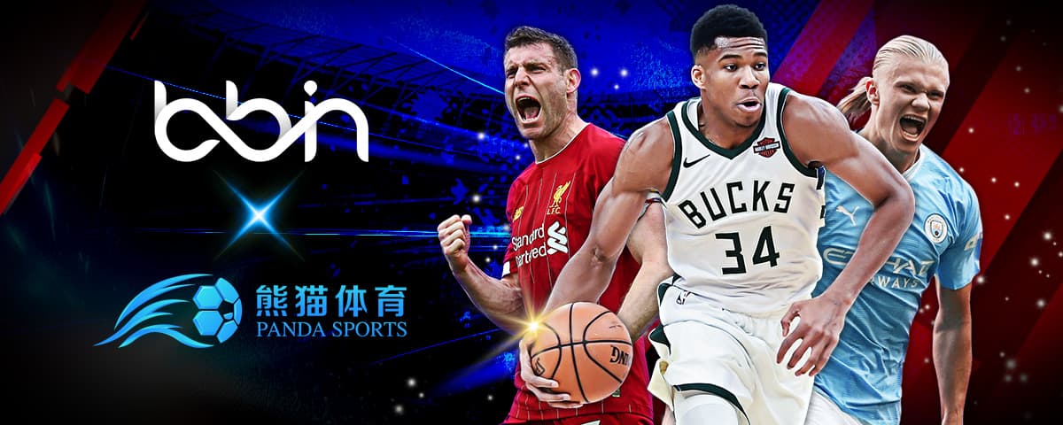 全面优化